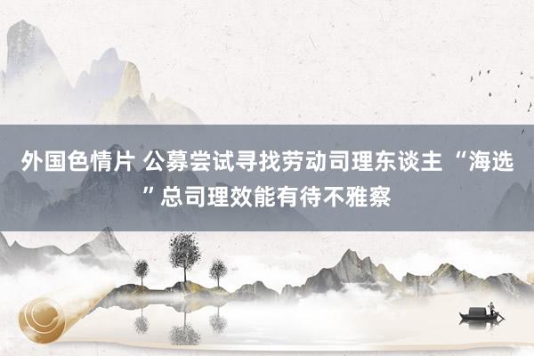 外国色情片 公募尝试寻找劳动司理东谈主 “海选”总司理效能有待不雅察