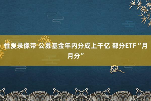 性爱录像带 公募基金年内分成上千亿 部分ETF“月月分”