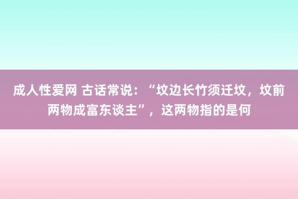 成人性爱网 古话常说：“坟边长竹须迁坟，坟前两物成富东谈主”，这两物指的是何