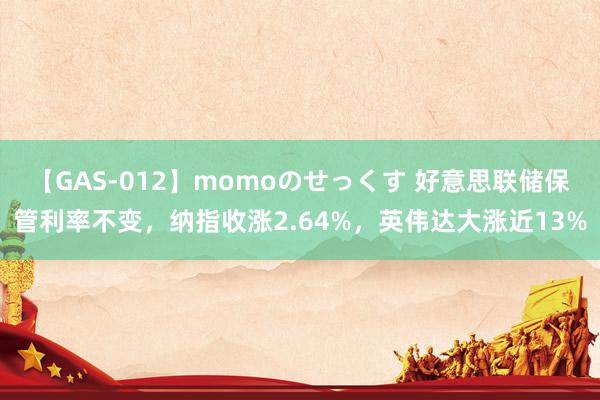 【GAS-012】momoのせっくす 好意思联储保管利率不变，纳指收涨2.64%，英伟达大涨近13%