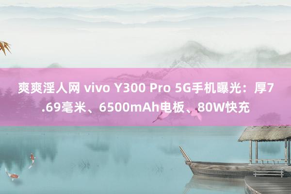 爽爽淫人网 vivo Y300 Pro 5G手机曝光：厚7.69毫米、6500mAh电板、80W快充