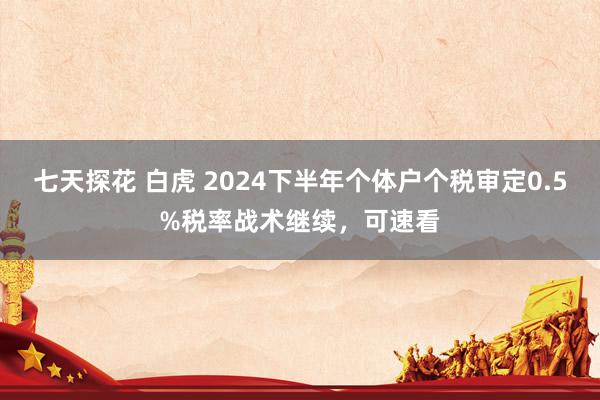 七天探花 白虎 2024下半年个体户个税审定0.5%税率战术继续，可速看