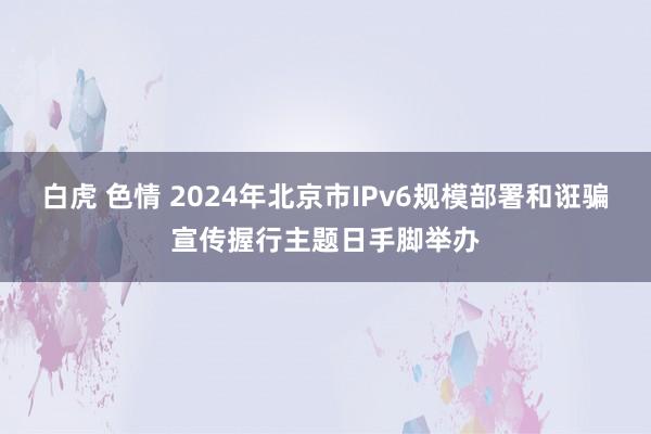 白虎 色情 2024年北京市IPv6规模部署和诳骗宣传握行主题日手脚举办